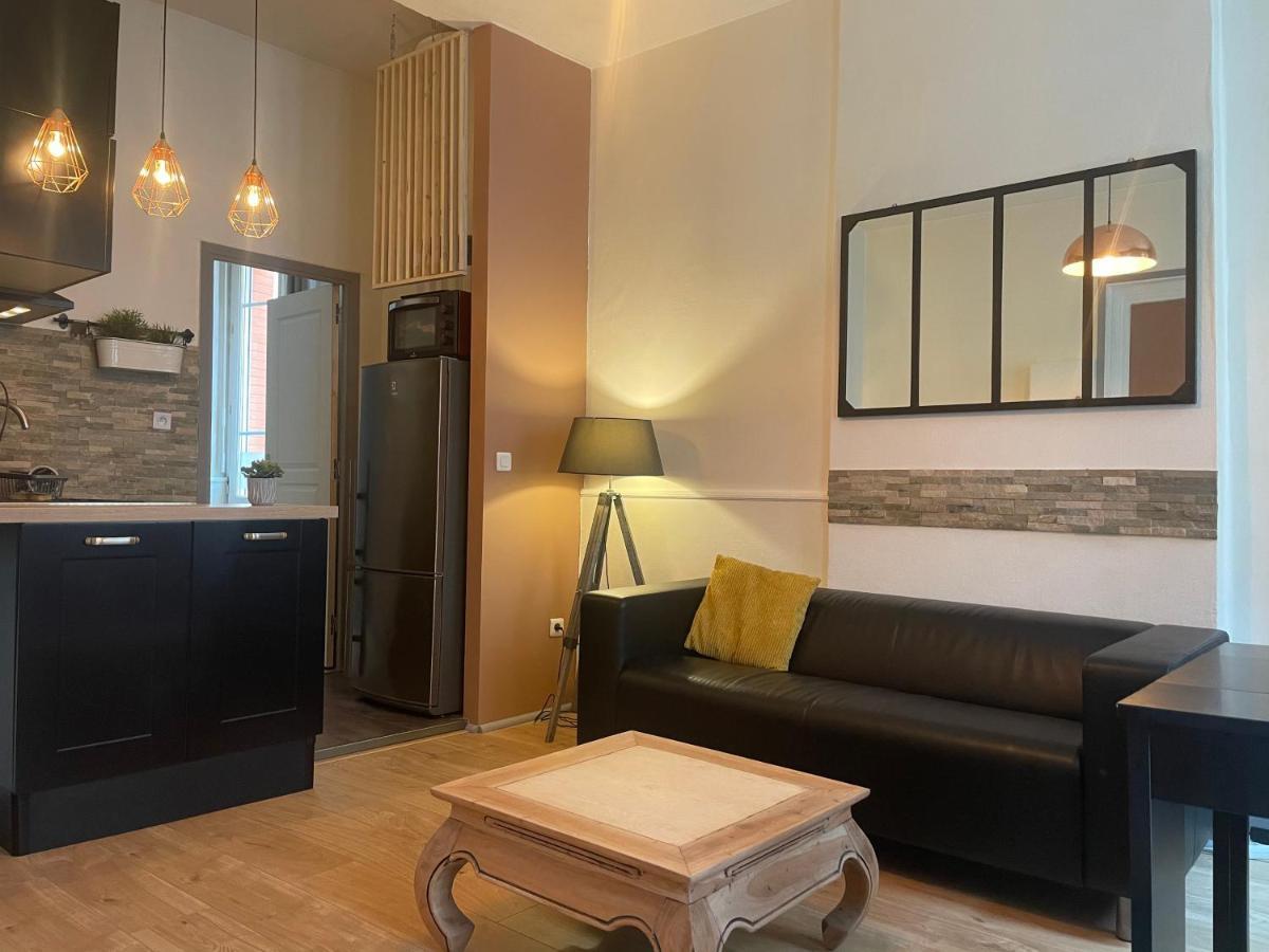 Appartement Cosy En Hyper Centre トゥールーズ エクステリア 写真