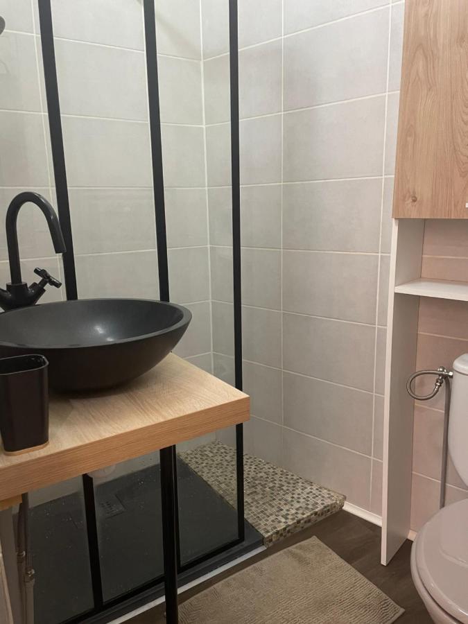 Appartement Cosy En Hyper Centre トゥールーズ エクステリア 写真